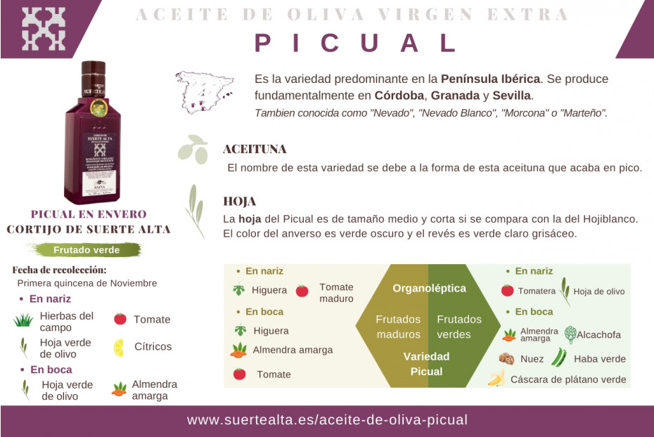  Picual Olive Oil